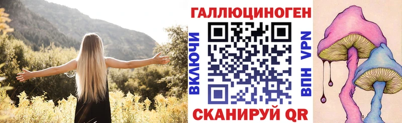 Псилоцибиновые грибы Psilocybe Козельск